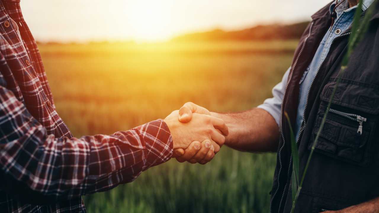 image for hiring advice from veterans